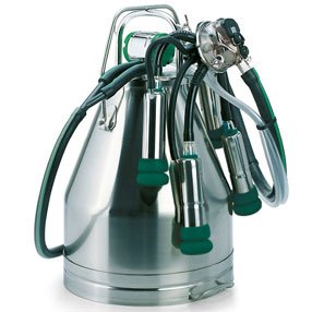 Индивидуальное одинарное доильное ведро в комплекте