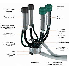 Доильный аппарат Westfalia Classic 300